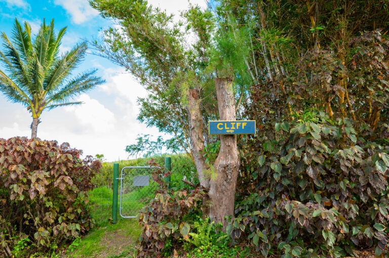 060_Huelo Point Lookout-2022_©Mieko Photography (1)